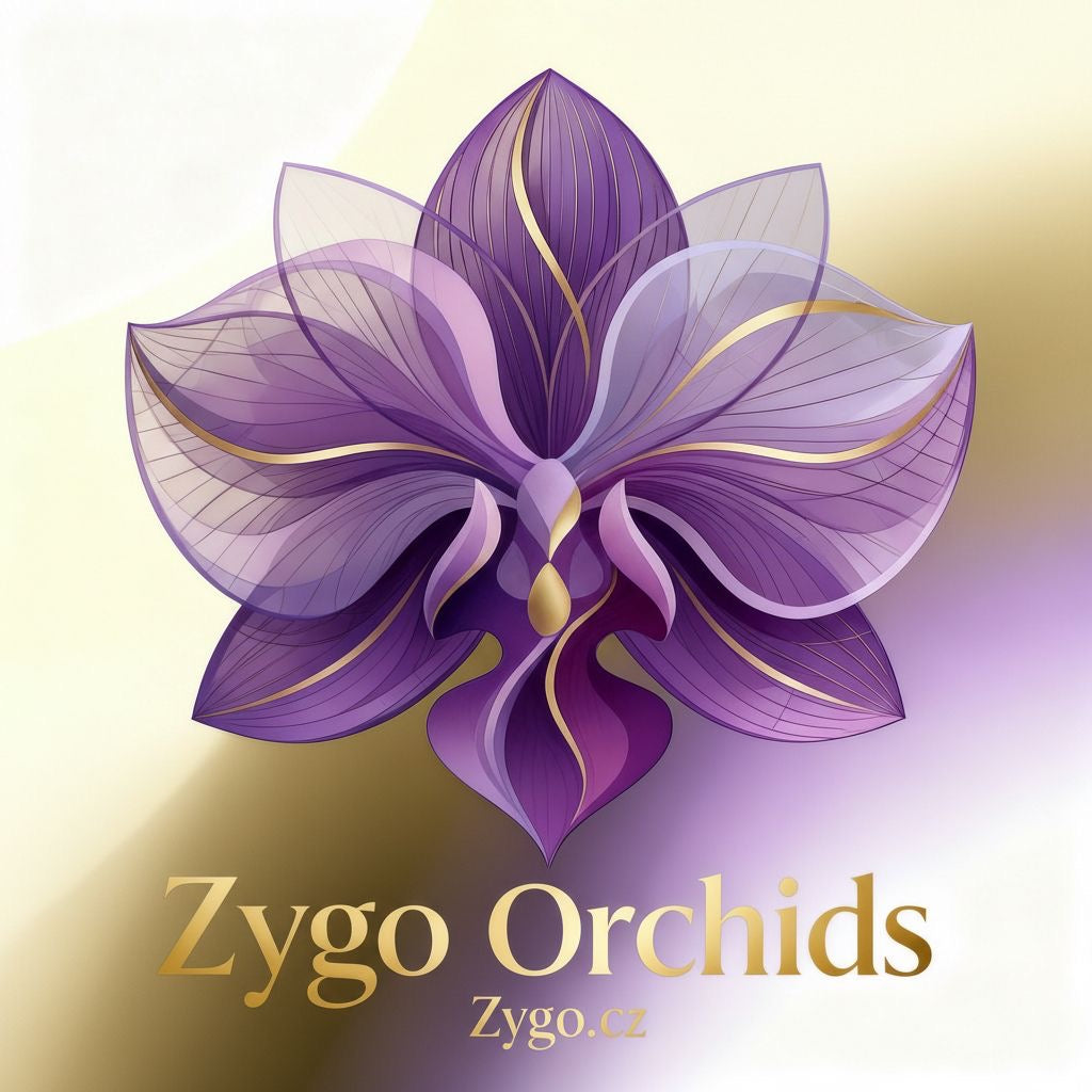 Exotické orchideje